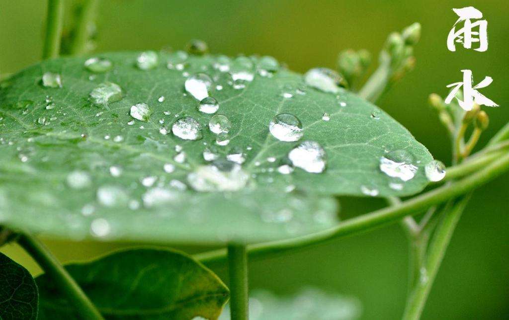 雨水潤萬物，兼顧沙與泥！